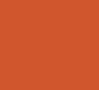 Orange RAL 2004